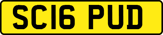 SC16PUD