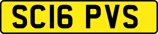 SC16PVS