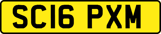 SC16PXM