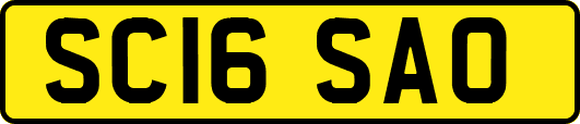 SC16SAO