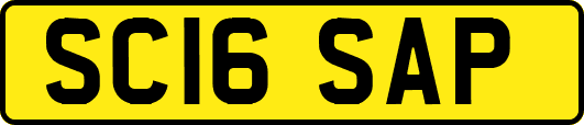 SC16SAP