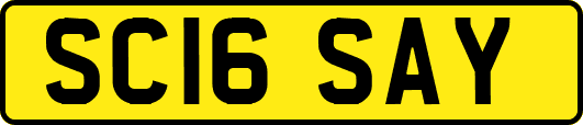SC16SAY