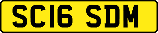 SC16SDM