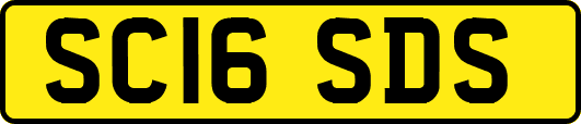 SC16SDS