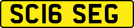 SC16SEG