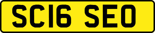SC16SEO