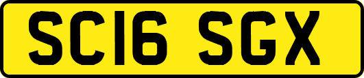 SC16SGX