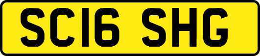 SC16SHG