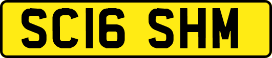 SC16SHM