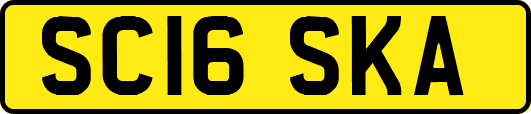 SC16SKA
