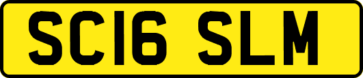 SC16SLM