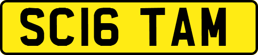 SC16TAM