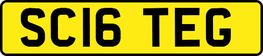 SC16TEG