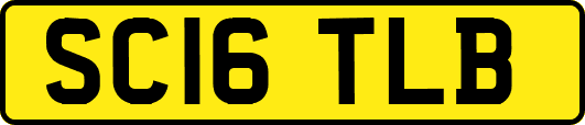 SC16TLB