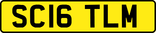 SC16TLM