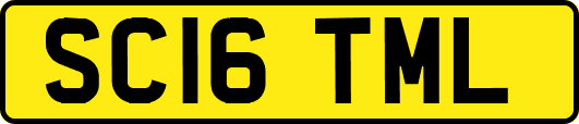SC16TML