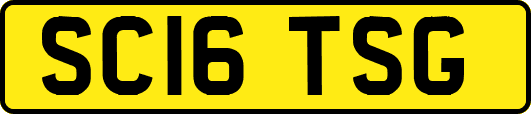 SC16TSG