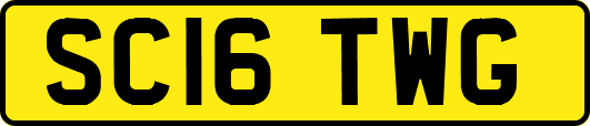 SC16TWG