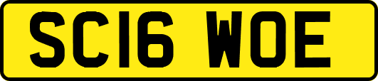 SC16WOE