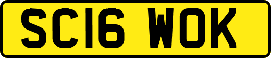 SC16WOK