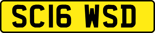 SC16WSD