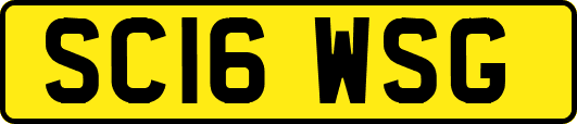 SC16WSG