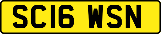 SC16WSN