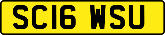 SC16WSU
