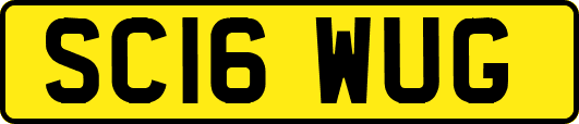 SC16WUG