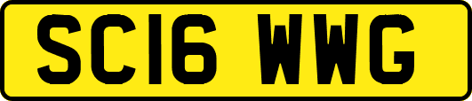 SC16WWG