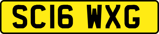 SC16WXG