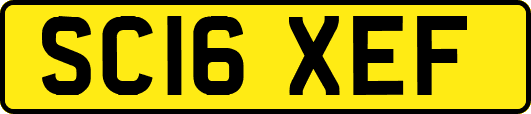 SC16XEF