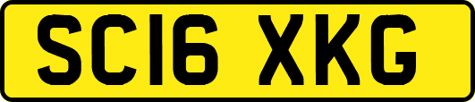 SC16XKG