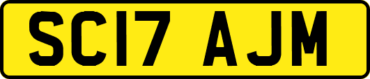 SC17AJM