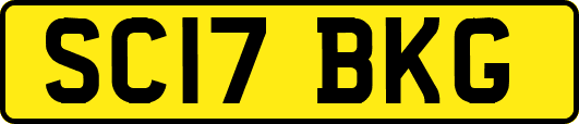 SC17BKG