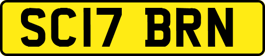 SC17BRN