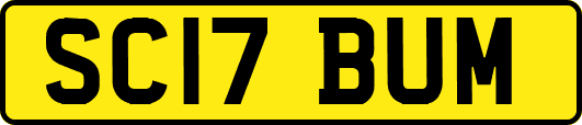 SC17BUM