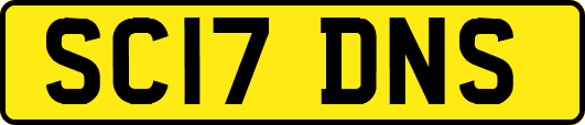 SC17DNS
