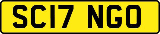 SC17NGO