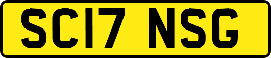 SC17NSG