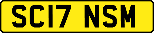 SC17NSM