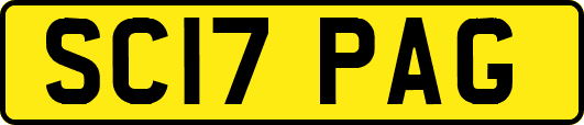 SC17PAG