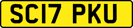 SC17PKU