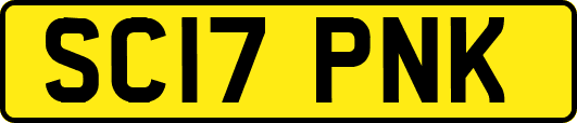 SC17PNK