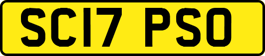 SC17PSO