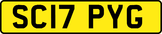 SC17PYG