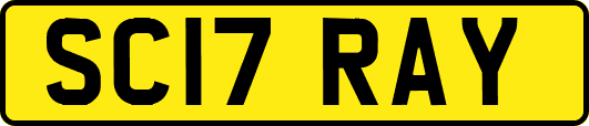 SC17RAY