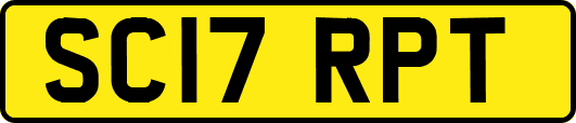 SC17RPT