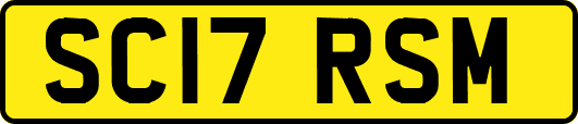 SC17RSM
