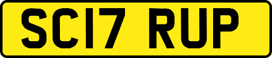 SC17RUP
